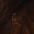 DSC02734