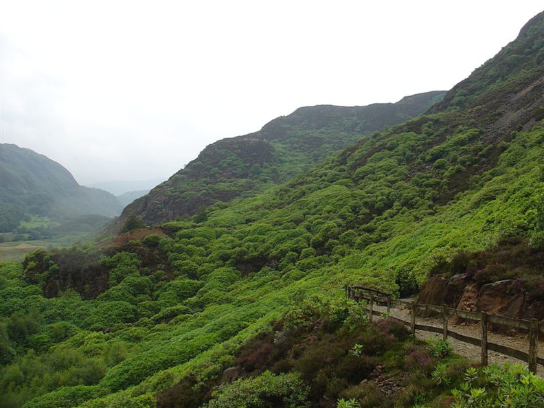 DSC02744.JPG