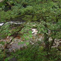 DSC02768
