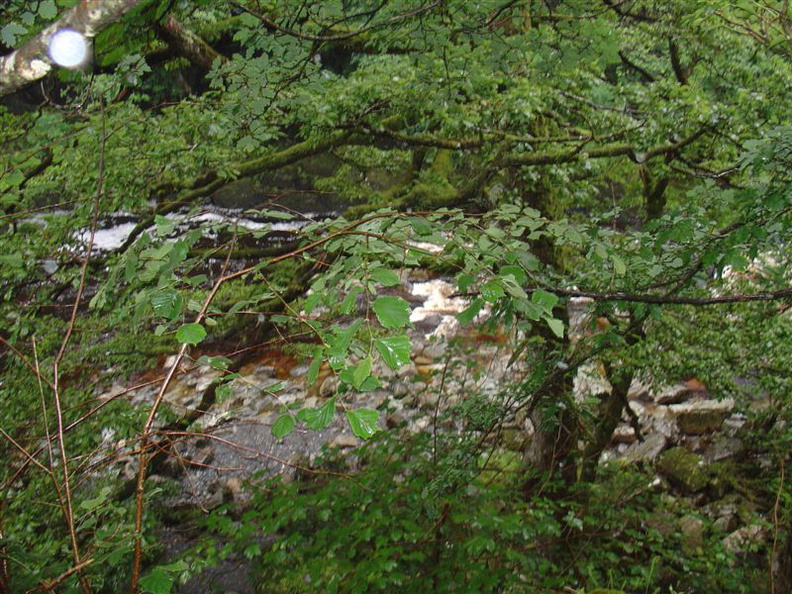 DSC02768.JPG