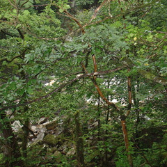 DSC02769