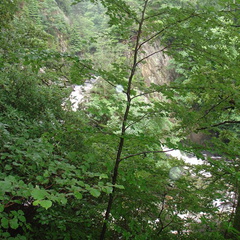 DSC02770