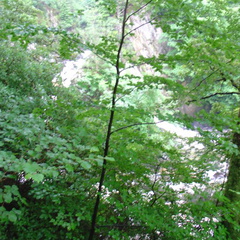 DSC02771