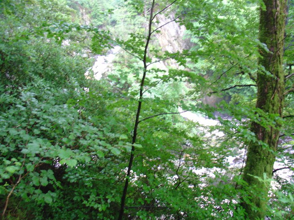 DSC02771