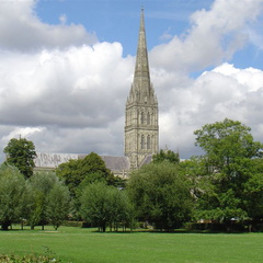 DSC02881