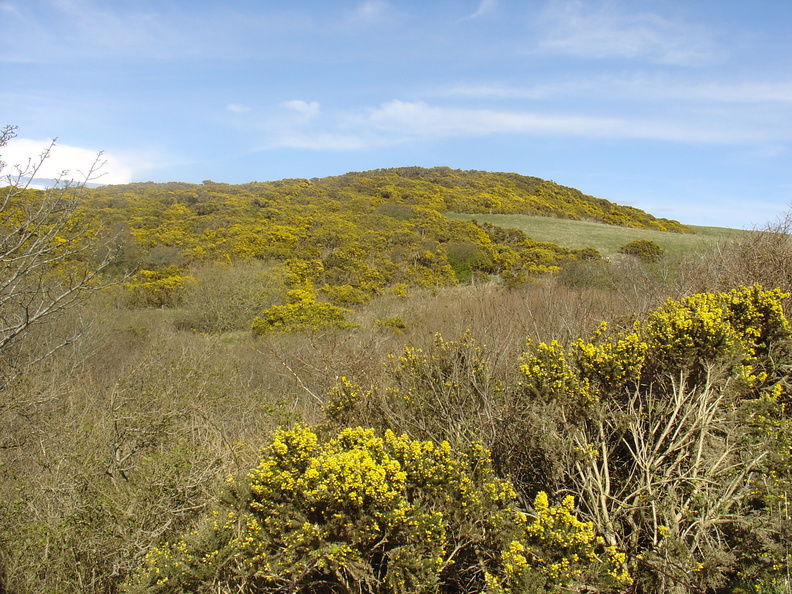 DSC04716.JPG