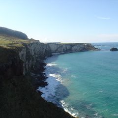 DSC04731