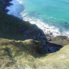DSC04733