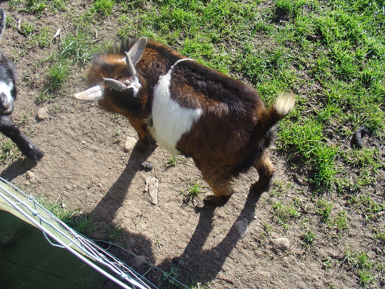 DSC04861.JPG