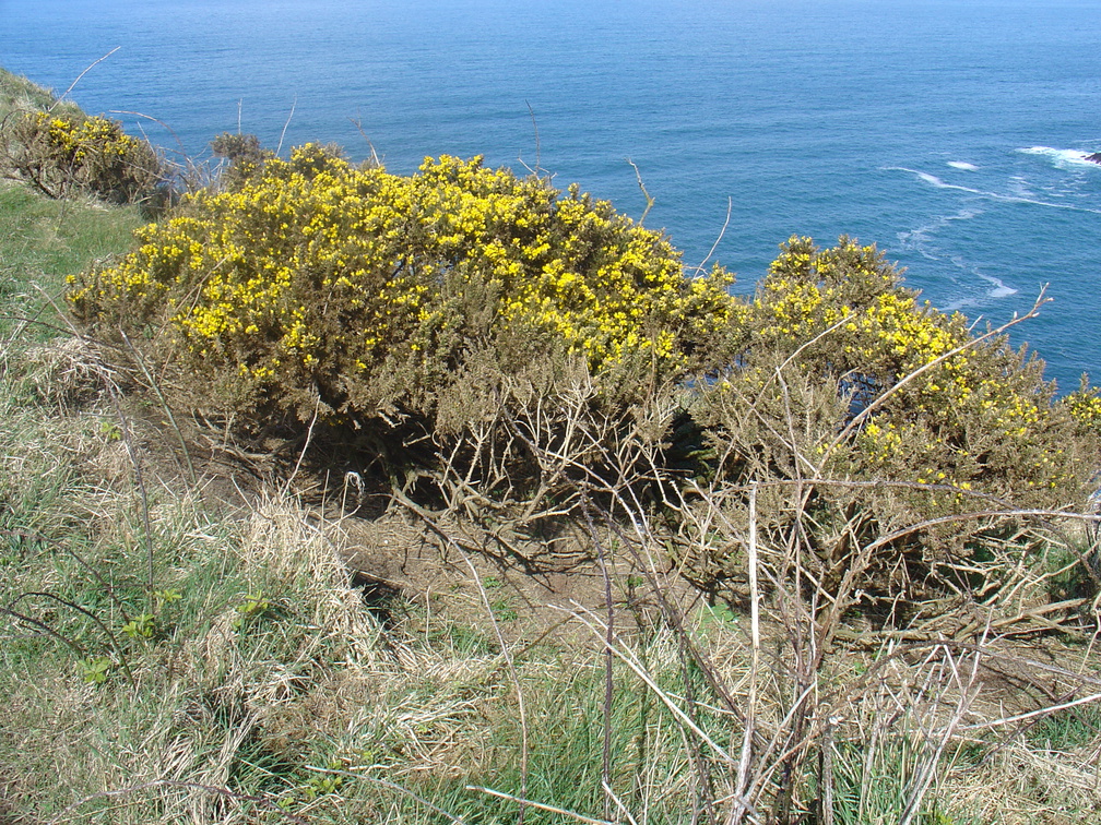 DSC04673