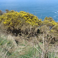 DSC04673
