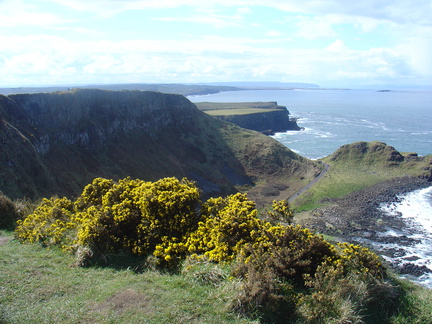 DSC04682