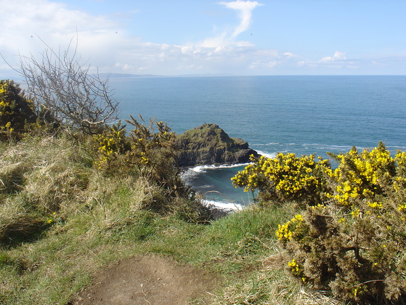 DSC04689