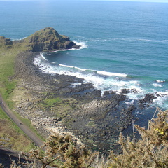 DSC04696
