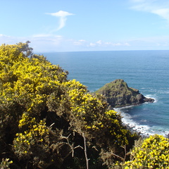 DSC04700