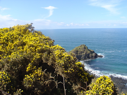 DSC04700