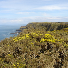 DSC04702