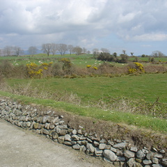 DSC04258
