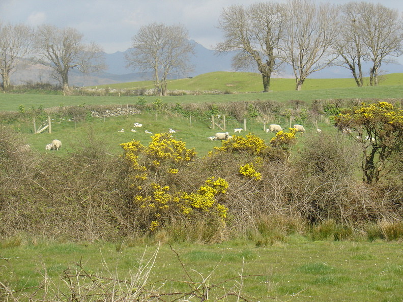DSC04259.JPG