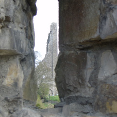 DSC04973