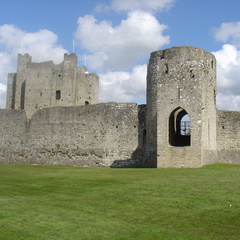 DSC04997