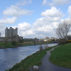 DSC05003