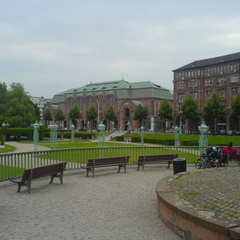 DSC00004