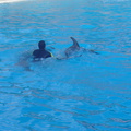 DSC03741