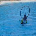 DSC03753