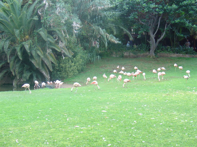 DSC03851.JPG
