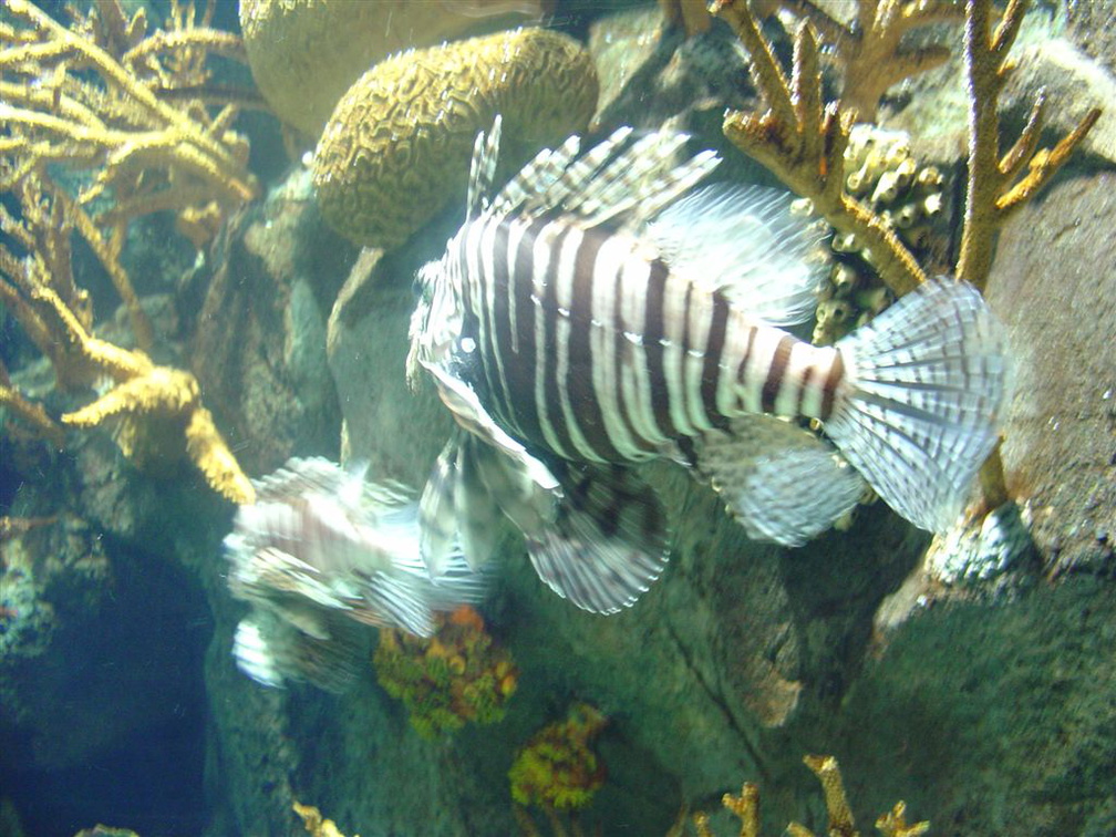 DSC03862