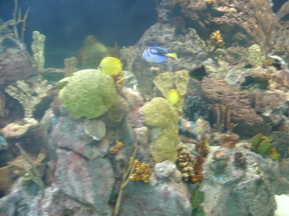 DSC03868