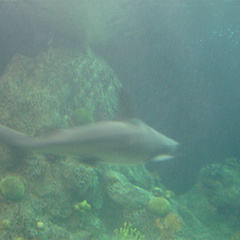 DSC03872