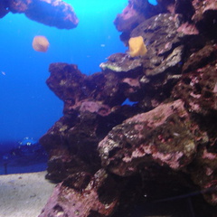 DSC03875