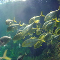 DSC03880