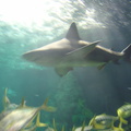 DSC03881