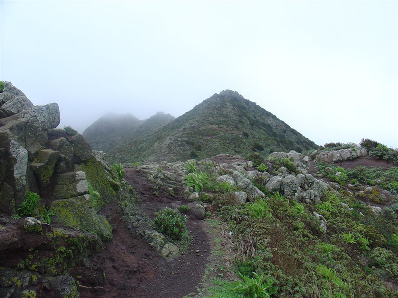 DSC03706.JPG