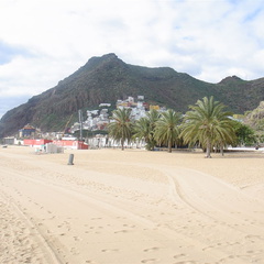 DSC03930