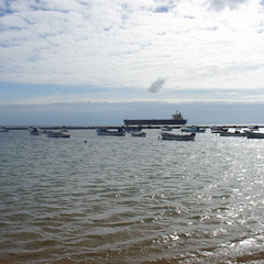 DSC03933