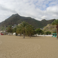 DSC03936