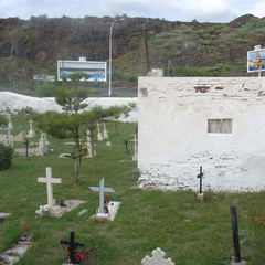 DSC03939