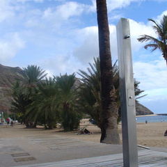DSC03944