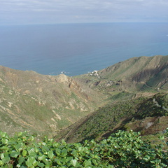 DSC03946