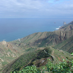 DSC03947