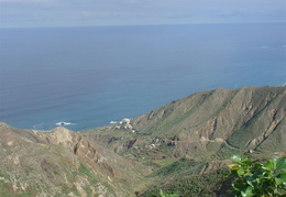 DSC03953