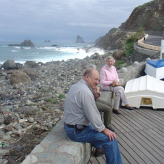 DSC03981