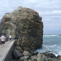 DSC03986