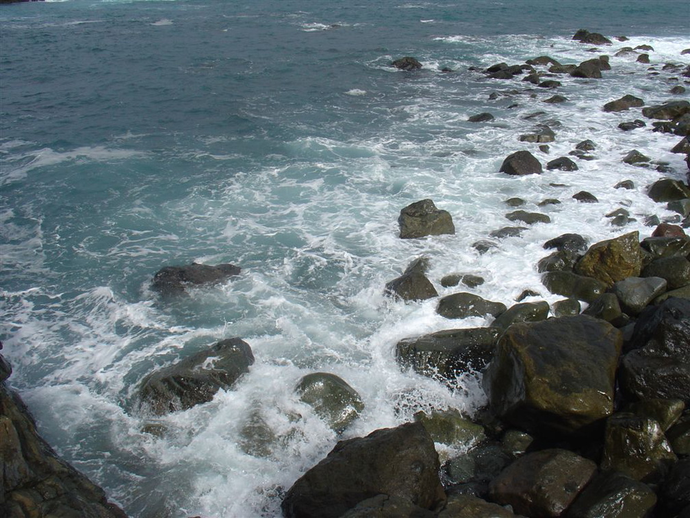 DSC03988