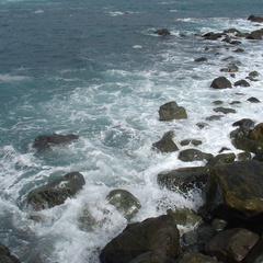 DSC03988