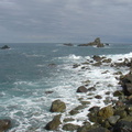 DSC03991